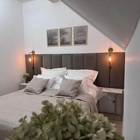 Apartment Lawendowe Zdroje Czerniejewo