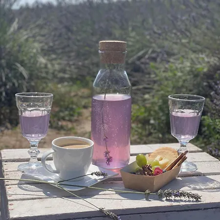 Apartman Lawendowe Zdroje Czerniejewo