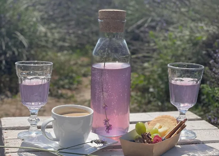 Апартаменты Lawendowe Zdroje Czerniejewo